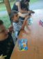 Onlus Associazione di Volontariato Sindrome di Rubinstein-taybi